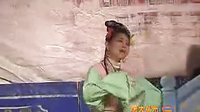 荆州花鼓戏《屠夫状元》全集 - 剧情简介、演员阵容及剧种介绍下载