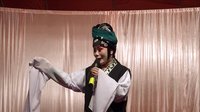 荆州花鼓戏《双玉燕》唱腔片段-黄一叶演唱-经典戏曲下载