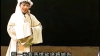 荆州花鼓戏《血冤》全集 - 胡新中、李春华、马红丽主演，经典剧目全解析下载