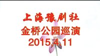 上海豫剧高清版社金桥公园巡演 - 精彩豫剧表演不容错过 上海豫剧高清版社金桥公园巡演 - 精彩豫剧表演不容错过
