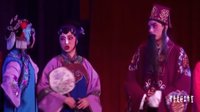 川剧《鸳鸯谱》剧情介绍、演员表及在线观看 - 戏曲下载网