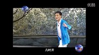 槐花几时开
