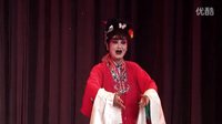 川剧《鸳鸯谱》全集在线观看 - 明星版高清戏曲下载下载