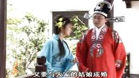 黄梅戏经典剧目《老子杀儿子》全剧下载 - 安徽地方戏曲下载