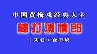 黄梅戏《金玉奴》(棒打无情郎) 何云 安徽省黄梅戏剧团 - 戏曲下载下载
