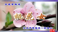 黄梅戏《桃花女》赵媛媛主演 安庆市黄梅戏一团演出