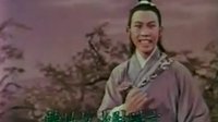 槐荫记