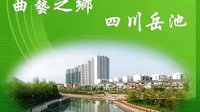 四川岳池戏曲 曲艺之乡的魅力与传承 四川岳池戏曲 曲艺之乡的魅力与传承