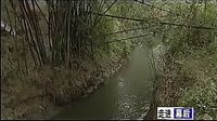 四川曲艺之扬琴、盘子、荷叶、清音 精彩全场演出 四川曲艺之扬琴、盘子、荷叶、清音 精彩全场演出