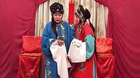 滇剧《黛玉焚稿》在线观看 - 经典折子戏全集高清播放