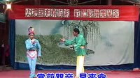 云南花灯剧《七妹与蛇郎》全集下载 - 完整版高清在线观看