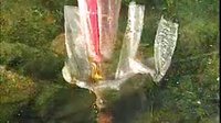 天仙配〔上〕下载_云南花灯戏经典剧目_董永七仙女传奇爱情故事下载