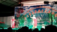 傣剧经典《娥并与桑洛》全本下载_叶新涛主演爱情悲剧戏曲MP3/PDF