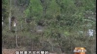壮剧 走遍云南之民族歌舞乐器系列 戏曲下载
