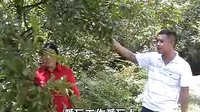 贵州山歌 - 领略贵州风情,感受山歌魅力 贵州山歌 - 领略贵州风情,感受山歌魅力