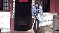 喜新厌旧2