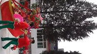 陕西白河县群力村花鼓戏《玩船》下载-传统戏曲剧目全集在线观看
