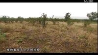 华阴老腔第一集下载_黄土地摇滚版高清MP4资源 - 戏曲下载网下载