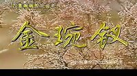 碗碗腔经典剧目《金碗钗》全集观看 - 高清画质免费在线观看