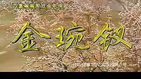 碗碗腔《金碗钗》全集在线观看 - 高清画质，精彩不断！