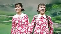 眉户戏《姊妹崖留》-经典戏曲剧目赏析下载