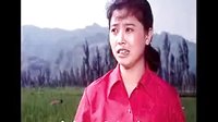 眉户戏《杏花村》在线观看 - 经典戏曲电影下载下载