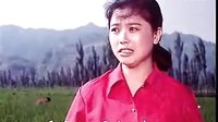 眉户《杏花村》全本 - 经典戏曲下载 眉户《杏花村》全本 - 经典戏曲下载