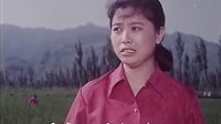 眉户剧《杏花村》 经典剧目，精彩剧情不容错过！