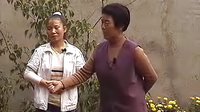 东路迷胡迷胡 眉户剧种下的拷打林英经典演绎 - 戏曲下载网下载
