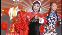 秦腔眉户碗碗腔名家演唱晚会 - 精彩绝伦的戏曲盛宴下载