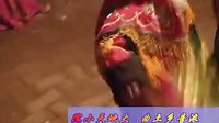 南湖镇陈家小河眉户