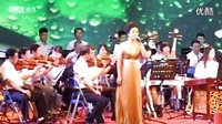 汉调二黄新唱《汉水深情献北京》- 汉剧经典演绎,感受汉水文化魅力 汉调二黄新唱《汉水深情献北京》- 汉剧经典演绎,感受汉水文化魅力