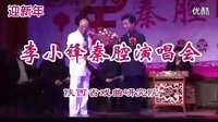 2016秦腔迎新春《李小锋从艺40年名家演唱会》窦凤琴 齐爱云 任小蕾 李军梅 张蓓友情助兴演出下载