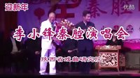 喜迎2016年《李小锋从艺40年秦腔演唱会》窦凤琴 齐爱云 任小蕾 张蓓友情演出(网友现场拍摄)下载