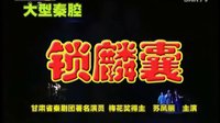 秦腔经典《锁麟囊》完整版 - 苏凤丽主演，剧情简介及下载资源下载