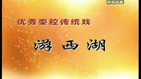 秦腔《游西湖》- 柳萍、任小蕾等主演，剧情简介及下载资源下载