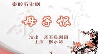秦腔全本《母子恨》柳水涛 首届陕西省秦腔演唱大赛政府奖 秦腔全本《母子恨》柳水涛 首届陕西省秦腔演唱大赛政府奖
