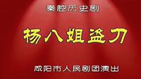 秦腔经典历史剧《杨八姐盗刀》全本 - 咸阳市人民剧团精彩演绎 秦腔经典历史剧《杨八姐盗刀》全本 - 咸阳市人民剧团精彩演绎