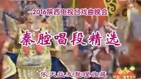 《精品》2016陕西电视台戏曲春晚秦腔精选（剪辑版）