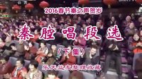 2016春节秦腔贺岁专场 | 秦之声经典唱段全集（下）| 正月十一至十四完整版