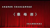 秦腔《慈母泪》(又名《寻儿记》)- 韩利霞主演 - 全本戏曲下载 秦腔《慈母泪》(又名《寻儿记》)- 韩利霞主演 - 全本戏曲下载