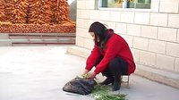 上党鼓书经典剧目《抢婆婆》，精彩剧情不容错过！下载
