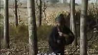 上党鼓书《乌盆告状》 经典戏曲下载，感受传统艺术魅力下载