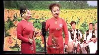 上党鼓书《夫妻争论》 秦彩霞、文翠平主演，探索夫妻间的爱与理解下载