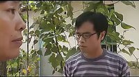 苦嫂