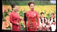 上党鼓书夫妻争论 - 秦彩霞、文翠平主演，剧情介绍及下载资源下载