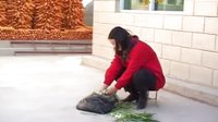 抢婆婆