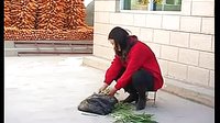 抢婆婆