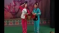二人台经典剧目《姑嫂挑菜》 精彩剧情，感受民间生活魅力下载