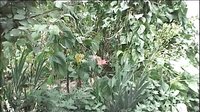 小二姐梦梦